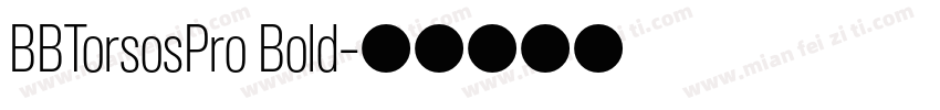 BBTorsosPro Bold字体转换